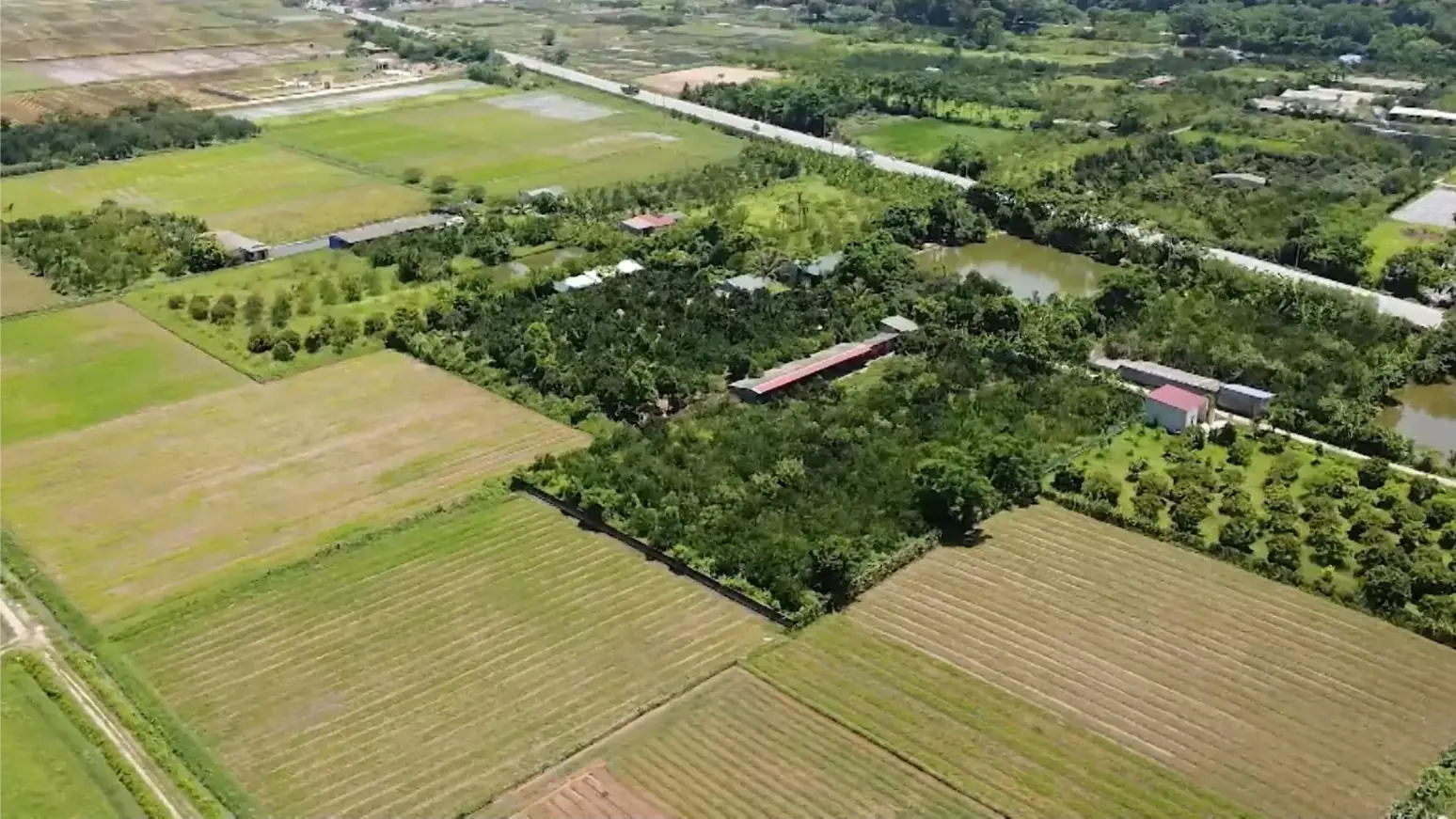 Nông nghiệp xanh vì tương lai bền vững | Chuyển đổi xanh | 06/09/2025